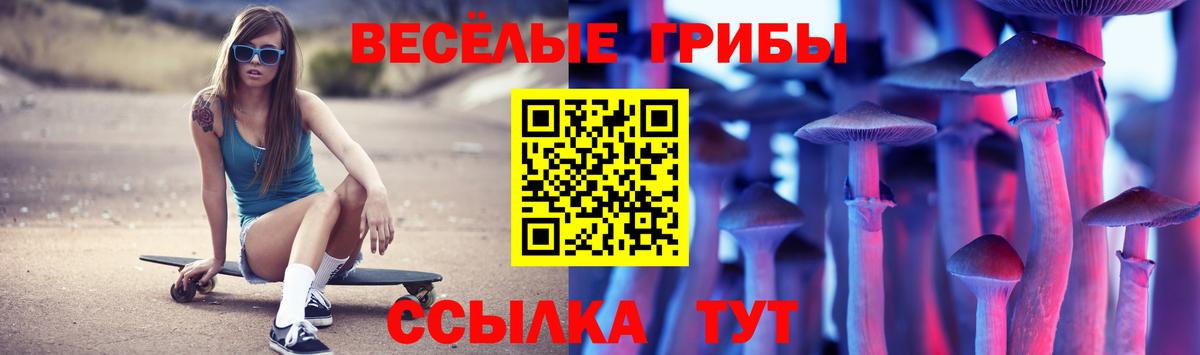 Псилоцибиновые грибы Magic Shrooms  Вход с VPN  Псилоцибиновые грибы Magic Shrooms  наркотики  Новочеркасск 